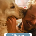 A large dog affectionately nuzzles a smiling man, both appearing happy and close. Text at the bottom reads, “12 Reasons Dogs Click With Certain People.” The image hints at the remarkable bonds dogs can form—even exploring why dogs attach to neglectful owners.