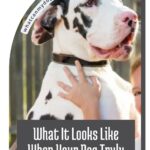 A person hugs a large black and white dog, both looking content—an image that captures the gentle side of friendly looking protective dog breeds. Text reads, “What It Looks Like When Your Dog Truly Trusts You.”.