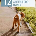 A small brown dog walking on a leash along a sunny path with text that reads &ldquo;12 Easy Ways to Be a Better Dog Owner&rdquo; and &ldquo;whatcanmydogeat.com.&rdquo; Discover tips that explore how dogs pick their person, helping you strengthen the special bond with your furry friend.