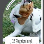 A dog scratching its head with its hind leg on grass. Text reads: "12 Physical and Behavioral Signs Linked to Poor Nutrition in Dogs." Spotting these signs early is crucial when helping a dog with anxiety, as nutritional deficiencies can often worsen anxious behaviors.
