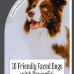 A happy brown and white dog with perked ears sits in snow. Text reads, “10 Friendly Looking Protective Dog Breeds with Powerful Guarding Instincts.” Website whatcanmydogeat.com appears on a gray arc above the dog’s head.