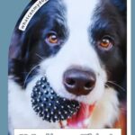 A black and white dog, possibly one of the high endurance dog breeds, holds a spiky rubber ball in its mouth. Text reads, “11 Ordinary Things That Completely Puzzle Dogs” and “whatcanmydogeat.com” appears on a curved label.