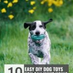 A spotted dog runs on grass holding a green toy in its mouth, perfectly embodying one of the 9 ways your dog shows you’re their favorite person. Text reads: “10 Easy DIY Dog Toys You Can Make Using Things at Home.” Yellow flowers and a lush green background are visible.