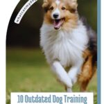 A happy, fluffy dog&mdash;reminiscent of the 11 dog breeds famous for their great escape skills&mdash;runs across a green field. Text reads: &ldquo;10 Outdated Dog Training Tips You Should Stop Following.&rdquo; Website URL is also visible at the top of the image.