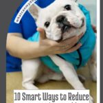 A person in a blue scrub top holds a white French bulldog, a breed that suits introverts, wearing a blue vest, with the text “10 Smart Ways to Reduce Your Dog’s Monthly Expenses” and the website “whatcanmydogeat.com”.
