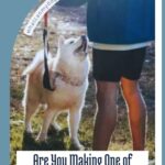 A person holding a leash stands next to a fluffy white dog looking up at them, with text below addressing common dog training mistakes related to separation anxiety.